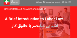 A Brief Introduction to Labor Law