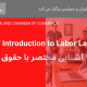 A Brief Introduction to Labor Law
